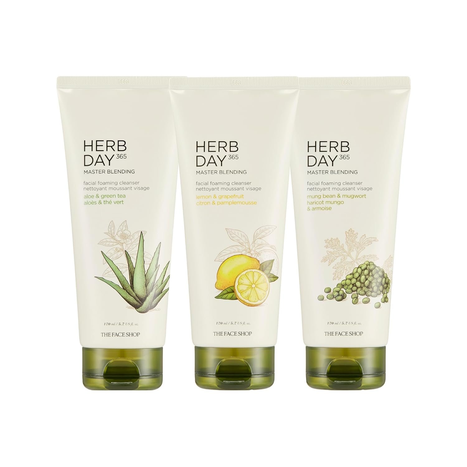 New Arrival Hot Selling Korean Skincare Product THE FACE SHOP Herb Day 365 Master Blending Facial Cleansing Foam Special Set