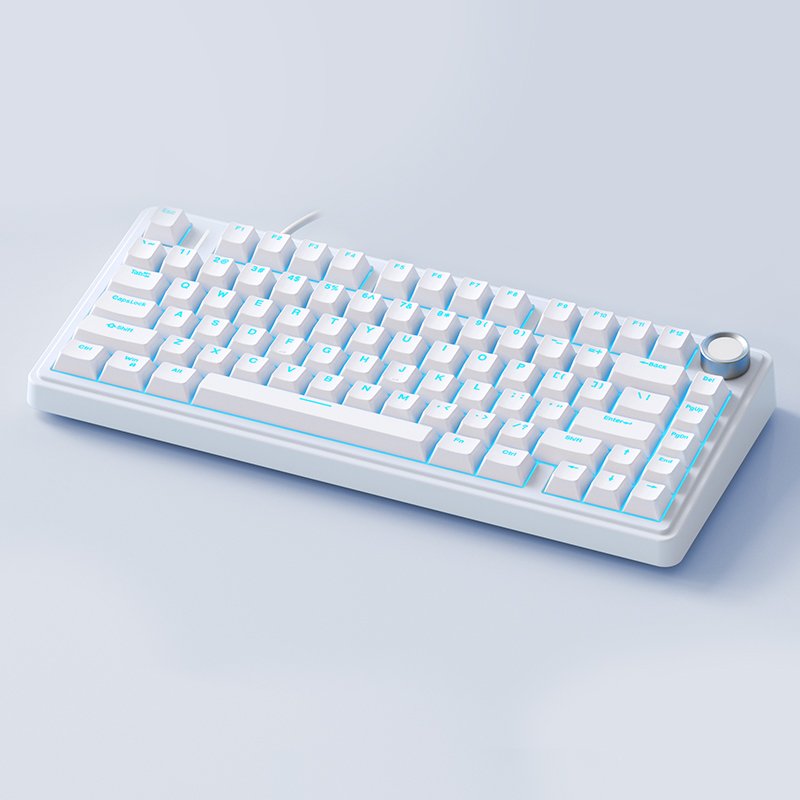 AULA F75 ready to ship wired usb RGB LED light pc computer custom wires gaming mechanical switch 75% keyboard 82 keys with konob
