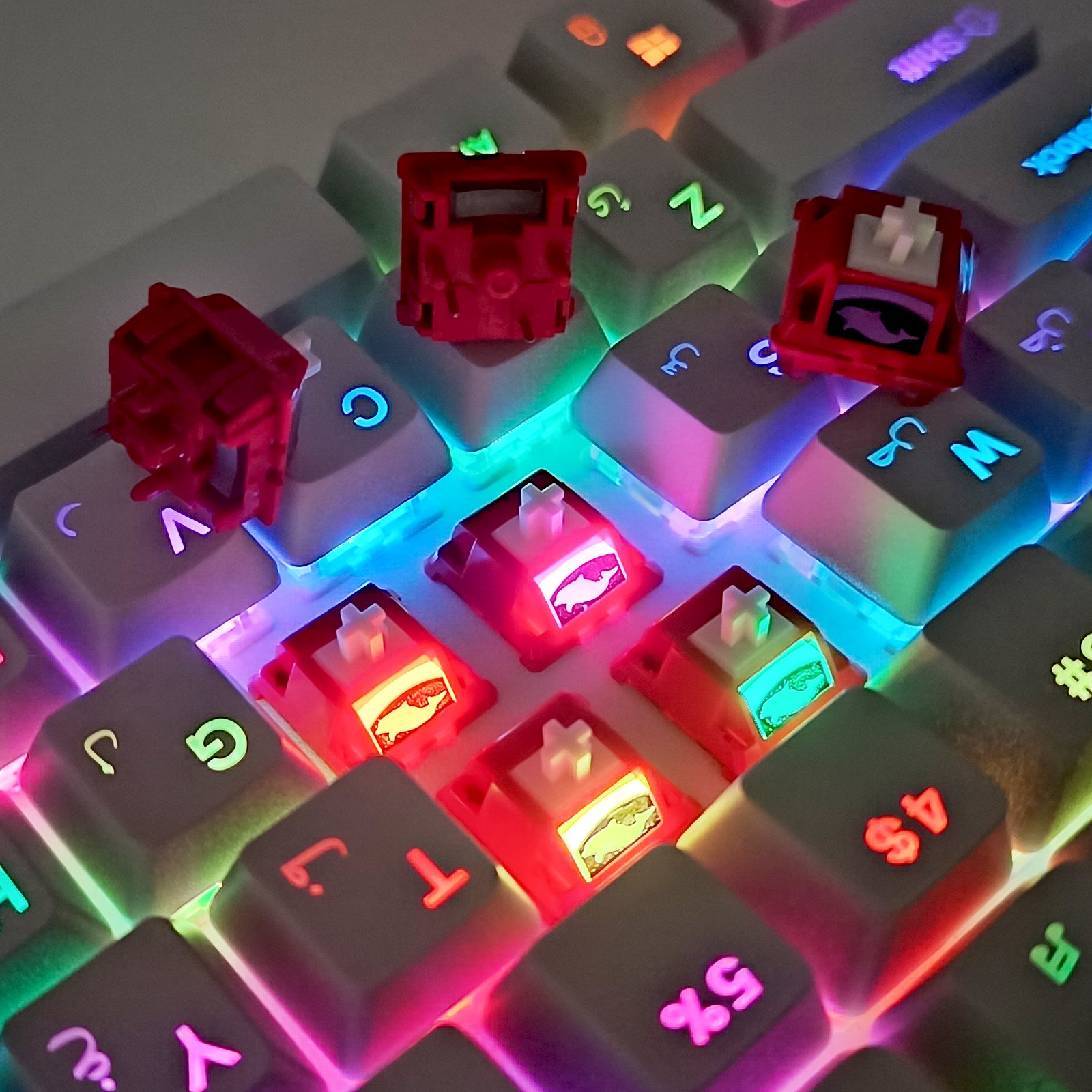 Tecsee 2023 New Arrival Christmas Switches 63.5g 5 Pin DIY RGB Hot Swap Customized linear Christmas Mechanical Keyboard Switches