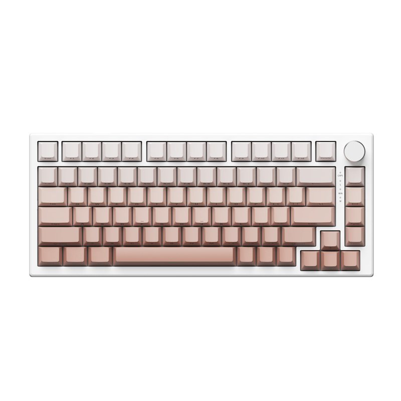 VGN A75 Gradient Colors Side Printing PBT Keycaps Gaming Wired RGB Magnetic Switch Keyboard