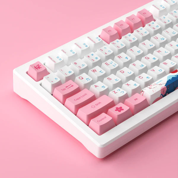 Akko MOD 007B HE PC Tokyo R2 Rapid Trigger 8000Hz Keyboard 75% Tri Mode Gasket Mount Mechanical Keyboard
