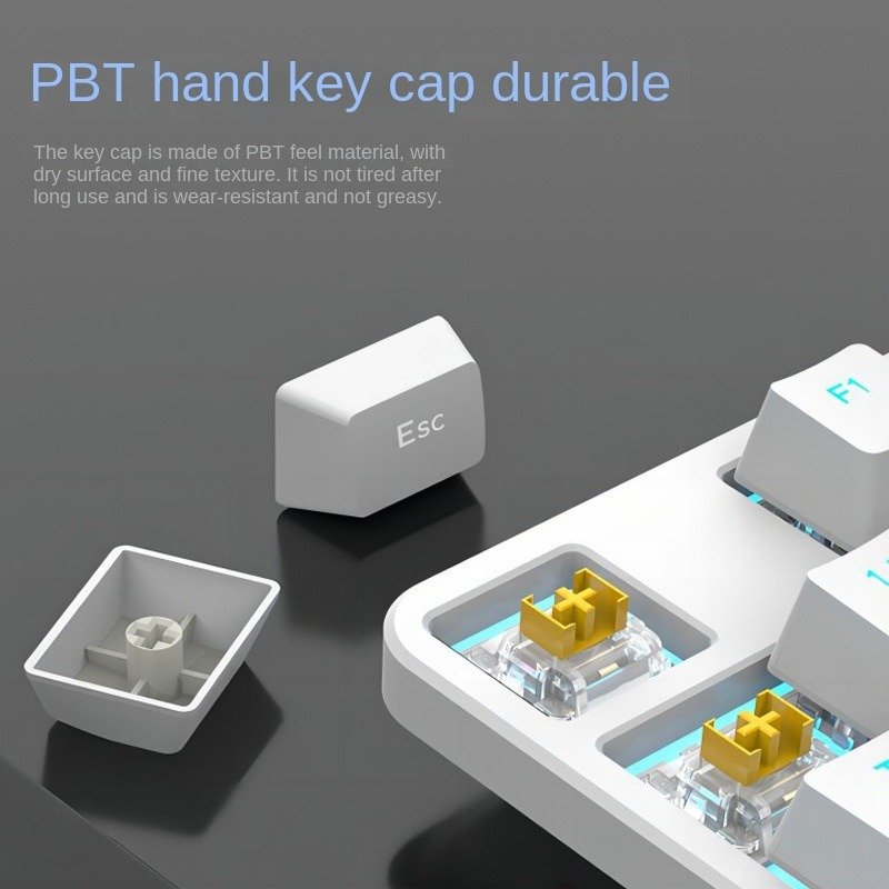 RS5 high-value gaming mechanical keyboard computer game keyboard white ice blue PBT plug-in keyboard