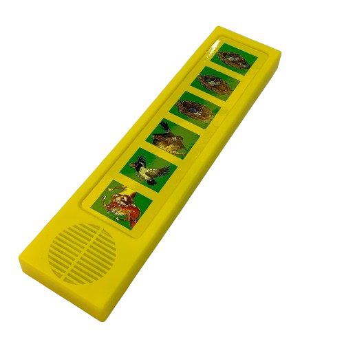 Custom programmable Top Selling 6 Button Kids Sound Books With Bird Voice Button Audio Board For Storybook