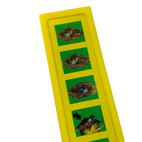 Custom programmable Top Selling 6 Button Kids Sound Books With Bird Voice Button Audio Board For Storybook