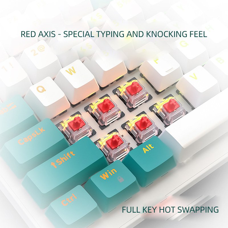usb computer switch switches wireless mechanical ergonomic 60% rgb backlight mini wire backlit mechan custom gaming keyboard