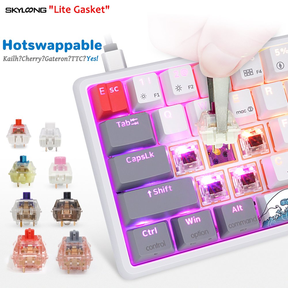 SKYLOONG newest release GK61 in Lite gasket OEM PBT coral keycaps Gateron switch rgb gaming mechanical keyboard