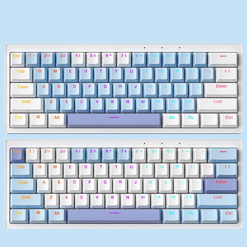 Computer Wired Keyboard 60 Percent Blue Switch RGB Backlit 61Keys Mechanical Gaming Keyboard