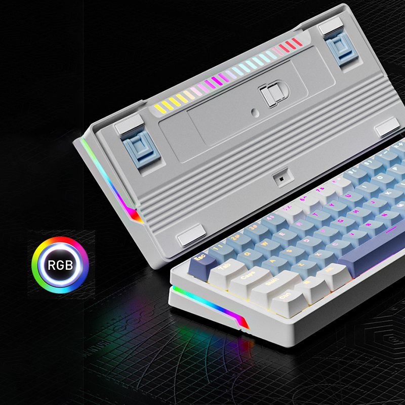 Computer Wired Keyboard 60 Percent Blue Switch RGB Backlit 61Keys Mechanical Gaming Keyboard