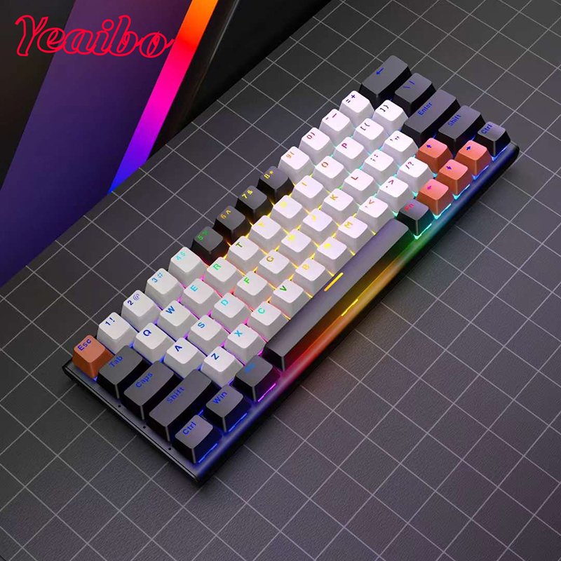 Anti-ghosting cable gamer teclado Backlit guangdong oem generation arabic keyboard Professional original 68 Mechanical keyboard