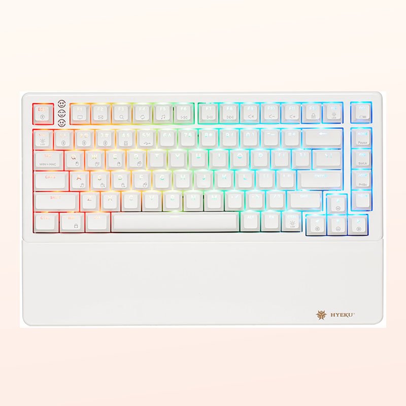 Hexgears Y2 Hot Swap RGB Backlit Bluetooth Wireless Gamer Keyboard PBT Keycap Red Switch Gaming Mechanical Keyboard For Desktop