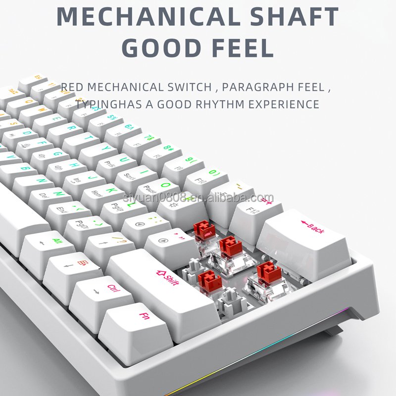 Portable 60 hot-swappable RGB Mechanical keyboard type-c wired red switch mini Gaming Keyboards For Desktop