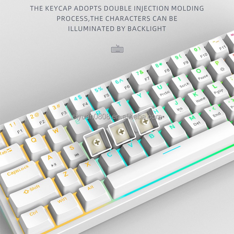 Portable 60 hot-swappable RGB Mechanical keyboard type-c wired red switch mini Gaming Keyboards For Desktop