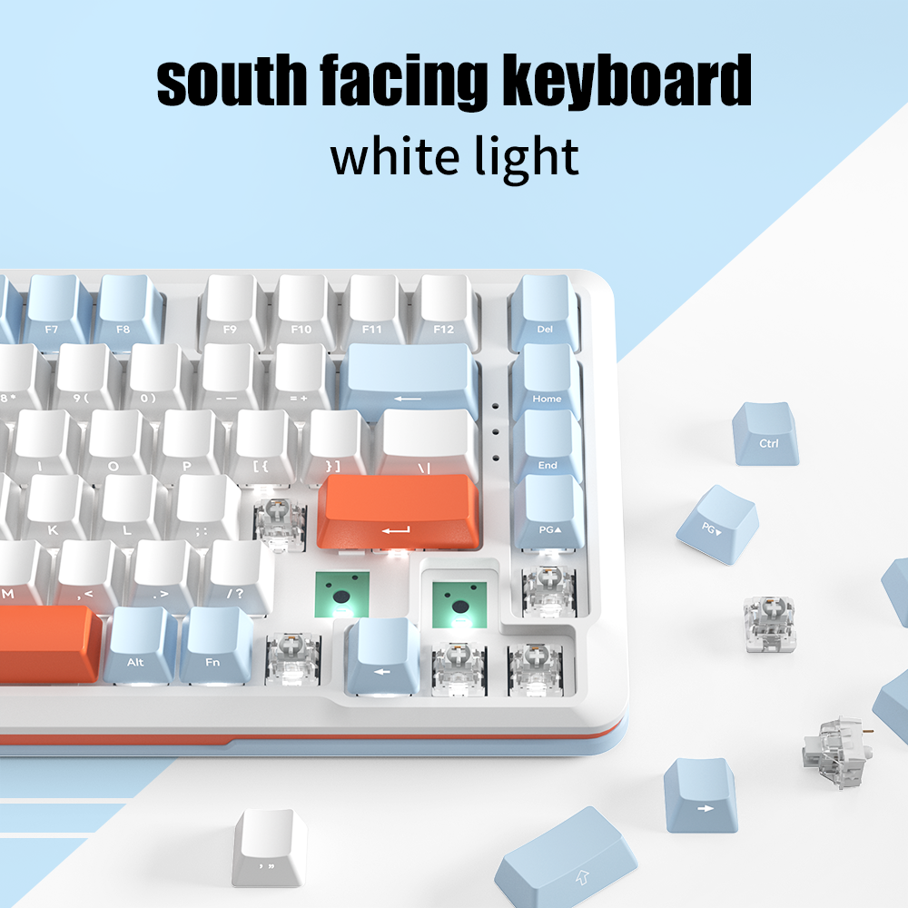 ZIFRIEND Custom S82 Wired Swappable 3pin Switch keyboard Mechanical 75% Gasket LED Backlit Gaming Mechanical Keyboard 82 Keys