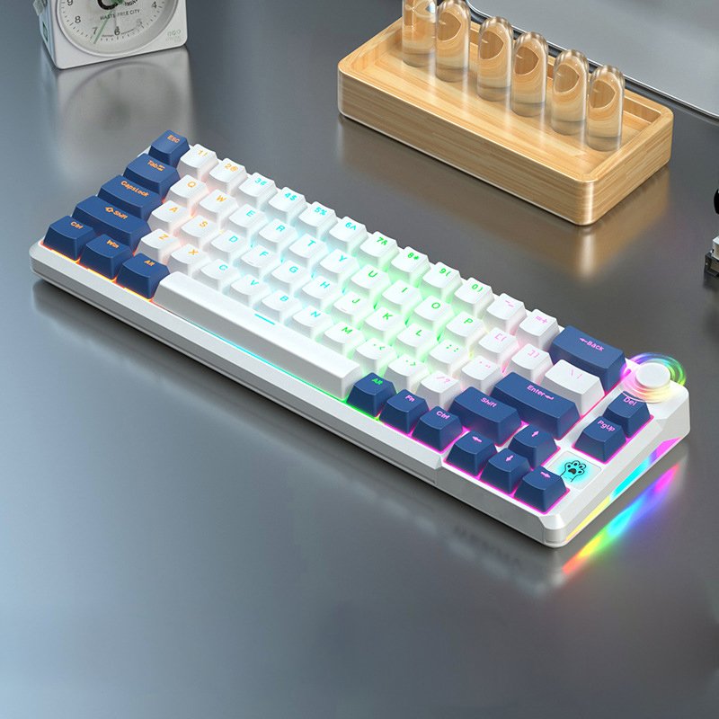 68 key low price Custom wireless electronics rechargeable notebook Desktop diy pc wired mini backlit Mechanical gaming keyboard