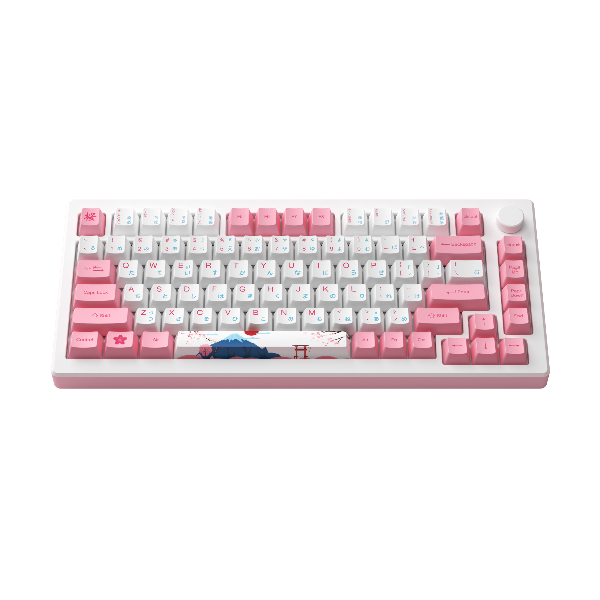 Akko MOD 007B HE PC Tokyo R2 Rapid Trigger Gaming Keyboards Magnetic Hall Effect Sensor Keyboard 75%