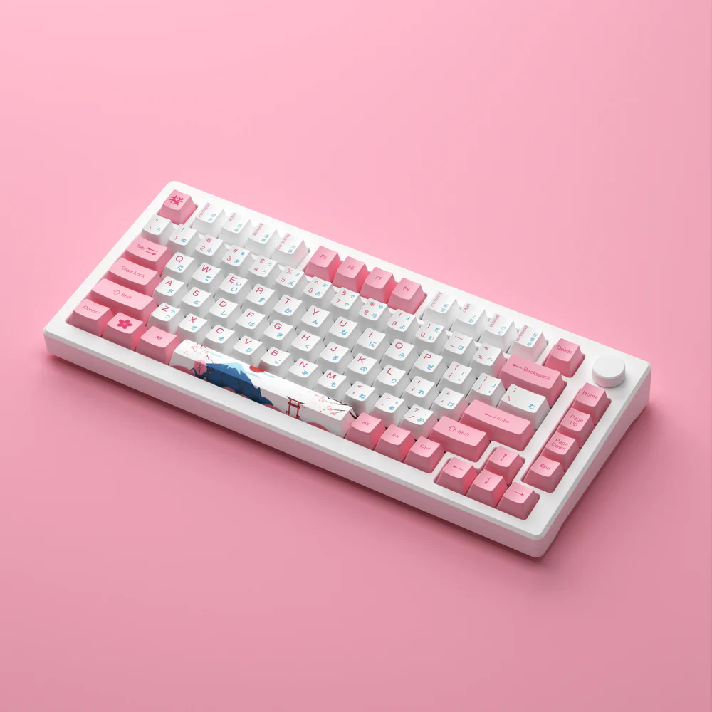 Akko MOD 007B HE PC Tokyo R2 Rapid Trigger Gaming Keyboards Magnetic Hall Effect Sensor Keyboard 75%