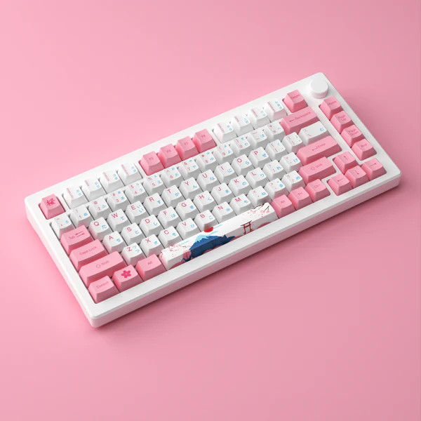 Akko MOD 007B HE PC Tokyo R2 Rapid Trigger Gaming Keyboards Magnetic Hall Effect Sensor Keyboard 75%