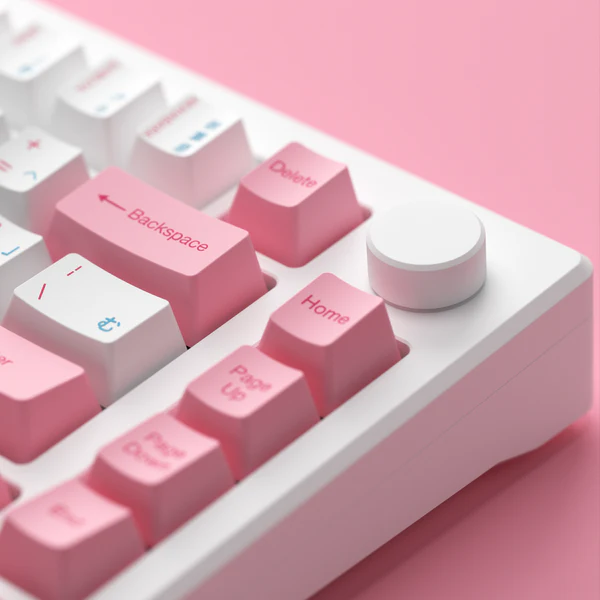Akko MOD 007B HE PC Tokyo R2 Rapid Trigger Gaming Keyboards Magnetic Hall Effect Sensor Keyboard 75%
