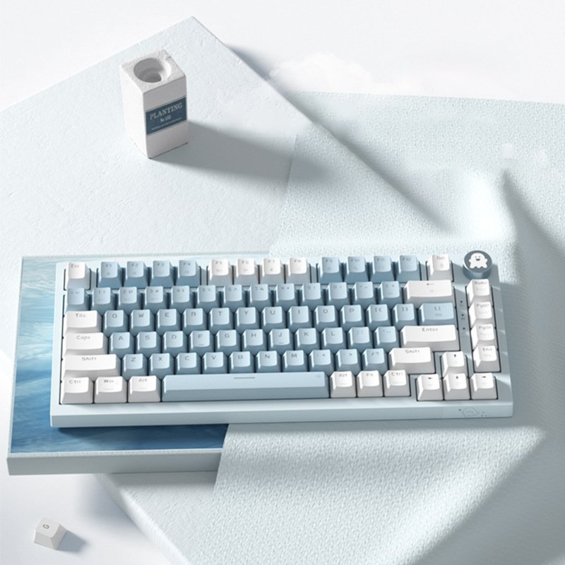 75% Mechanical Wireless Keyboard with 81 Keys USB Office Keyboard with Light Keyboard and RGB Backlit