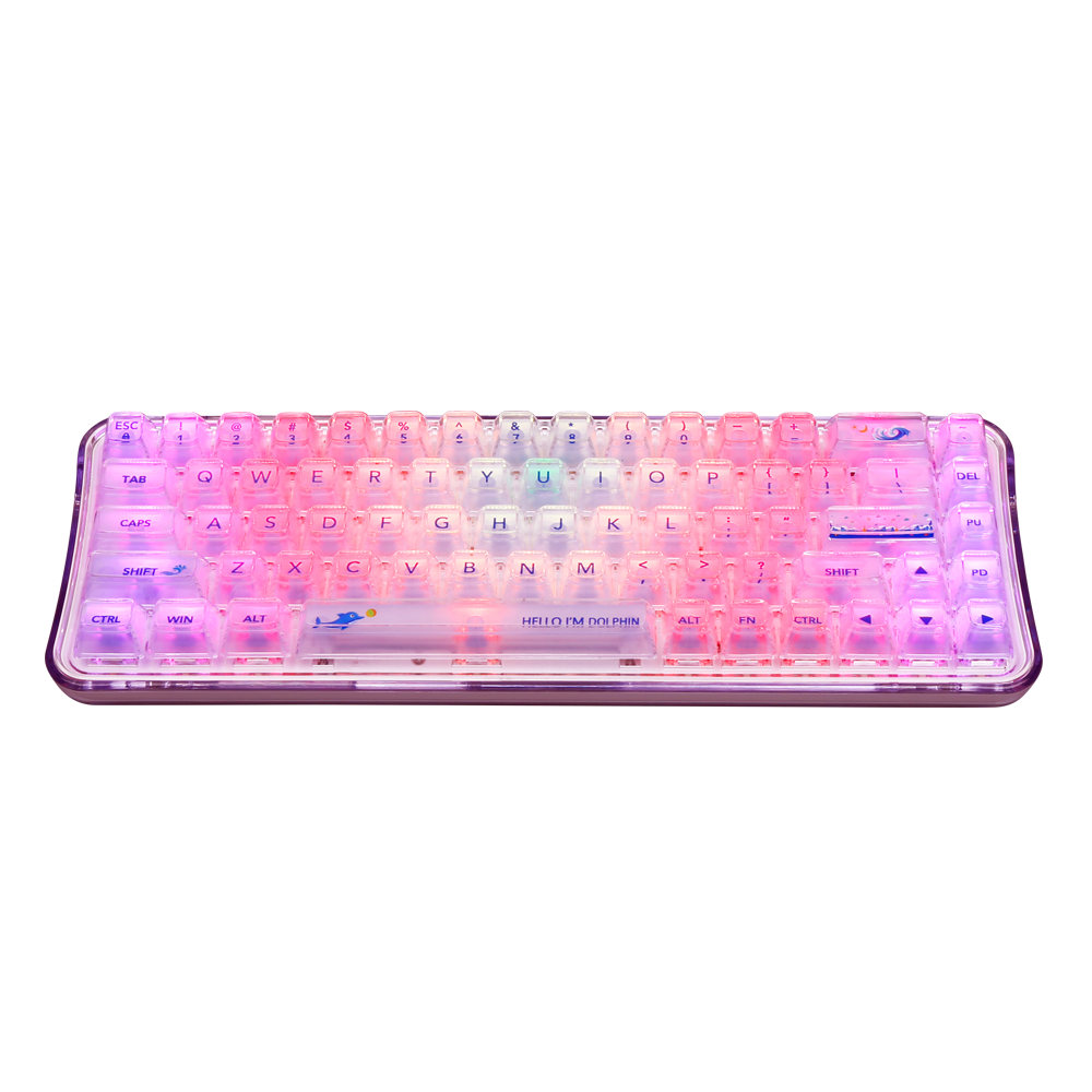 Blue Switches RGB Backlit BT/2.4G/Wired Tri-Mode 65% Compact Gaming Typewriter Style Wireless Mechanical Keyboard for Mac/PC/Win