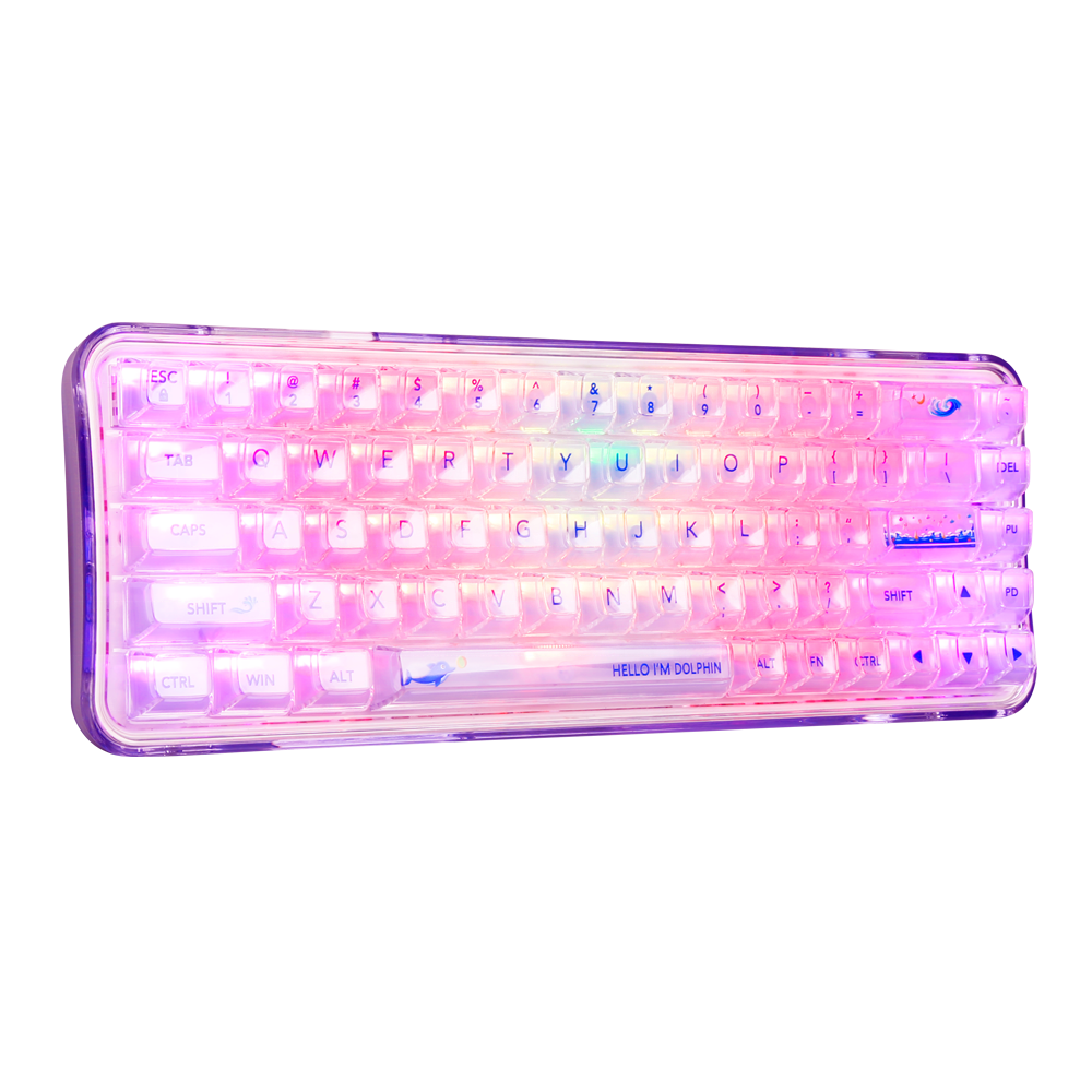 Blue Switches RGB Backlit BT/2.4G/Wired Tri-Mode 65% Compact Gaming Typewriter Style Wireless Mechanical Keyboard for Mac/PC/Win