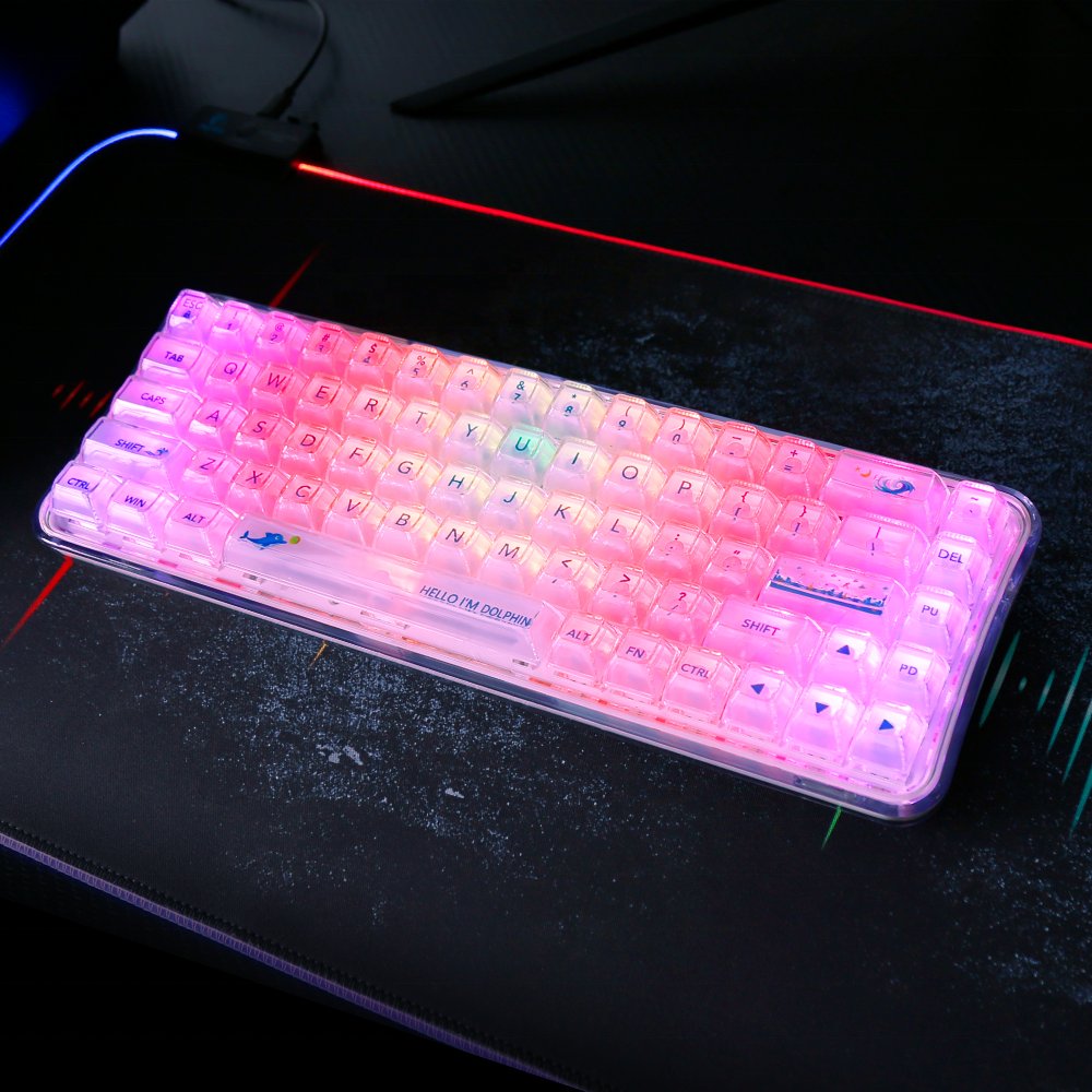Blue Switches RGB Backlit BT/2.4G/Wired Tri-Mode 65% Compact Gaming Typewriter Style Wireless Mechanical Keyboard for Mac/PC/Win