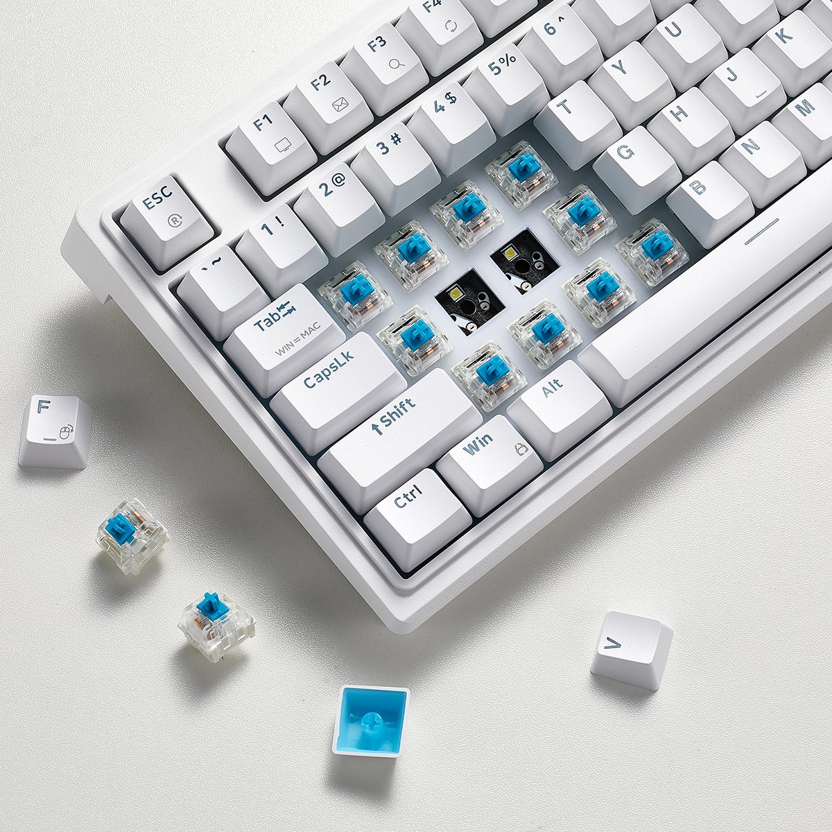 Custom Wholesale Ergonomic Computer Keyboard 83Keys Backlight Led USB Type C RGB Wired Gaming Mechanical Keyboard