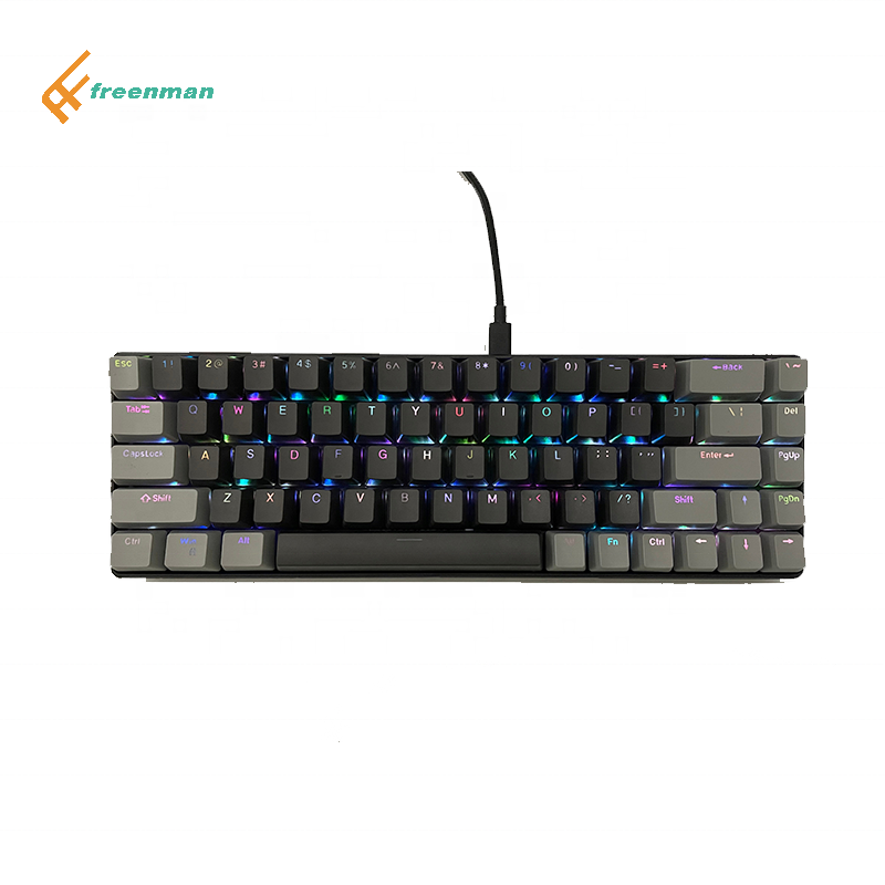 Gaming Keyboard Freenman Hot Swap Teclado ABS Material 68 Keys High Back 7 RGB Usb Mobile Phone Keyboard Techno Keyboard