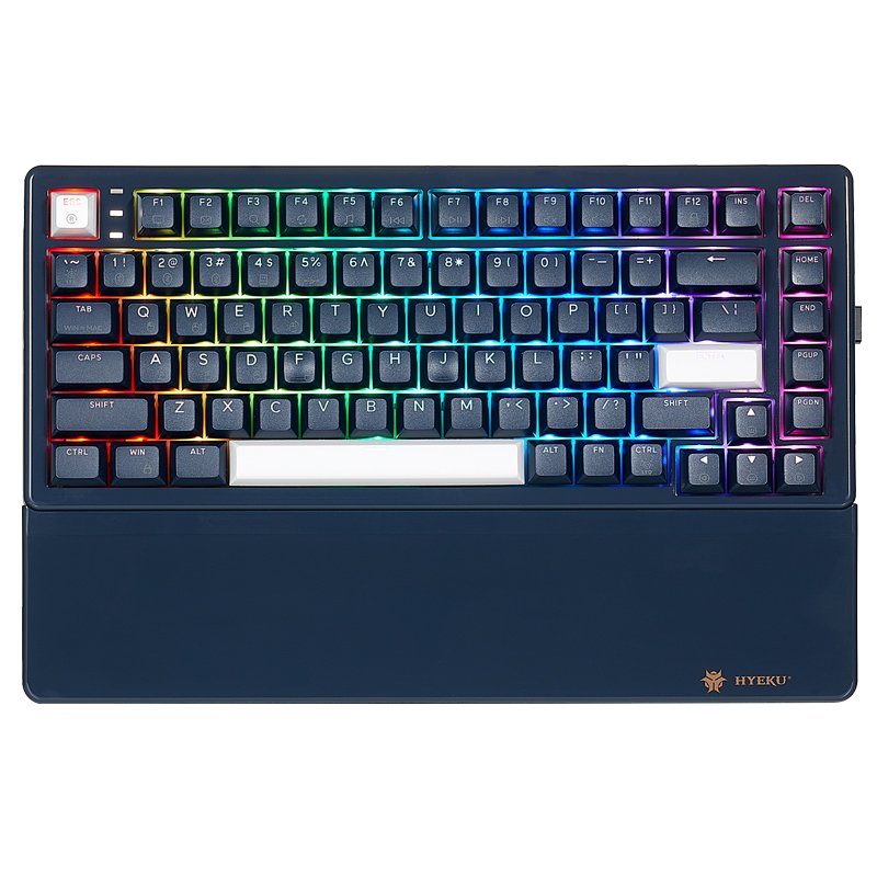 Hexgears E2 Pro Mechanical Keyboard Wireless RGB Gasket Gaming Keyboard 75% Layout 83 Keys Hot swappable danxia Switch
