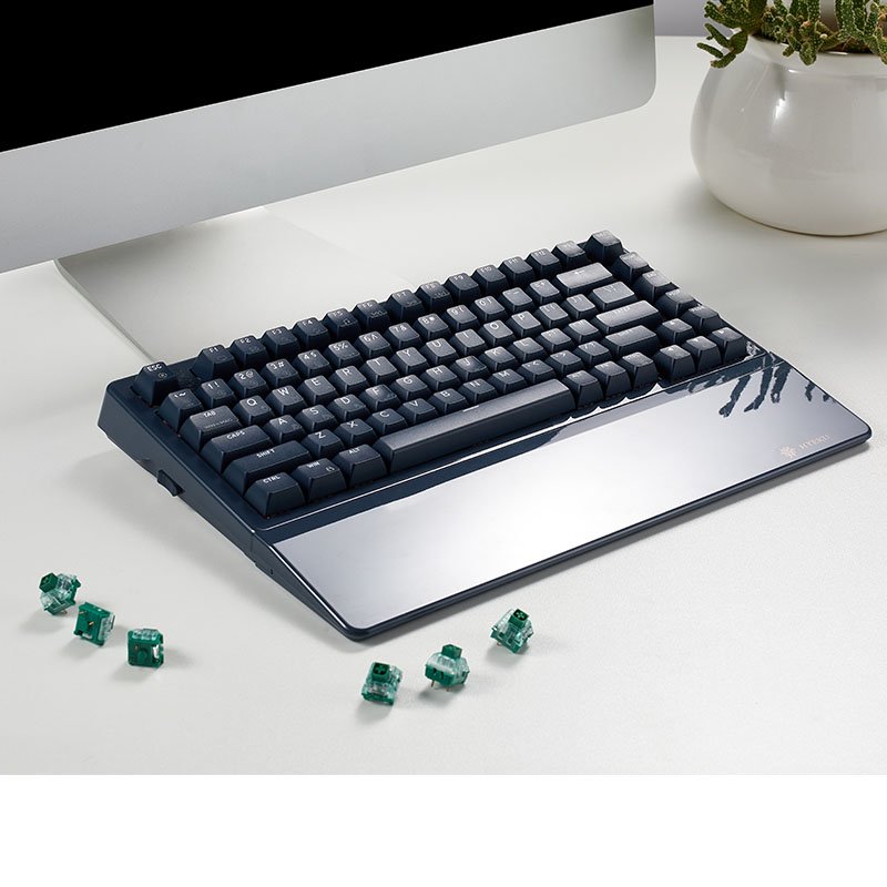 Hexgears E2 Pro Mechanical Keyboard Wireless RGB Gasket Gaming Keyboard 75% Layout 83 Keys Hot swappable danxia Switch
