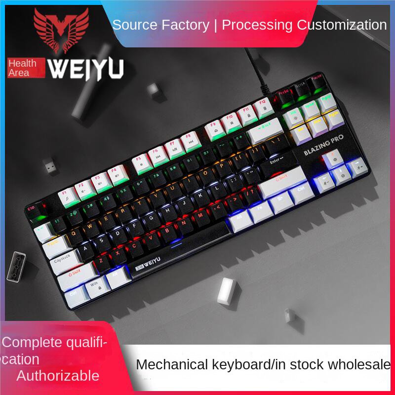 OEM USB C RGB Backlit Color Lighting Blue Switch Wired 87 Keys Internal Mechanical Gaming Keyboard Multi Computer Work
