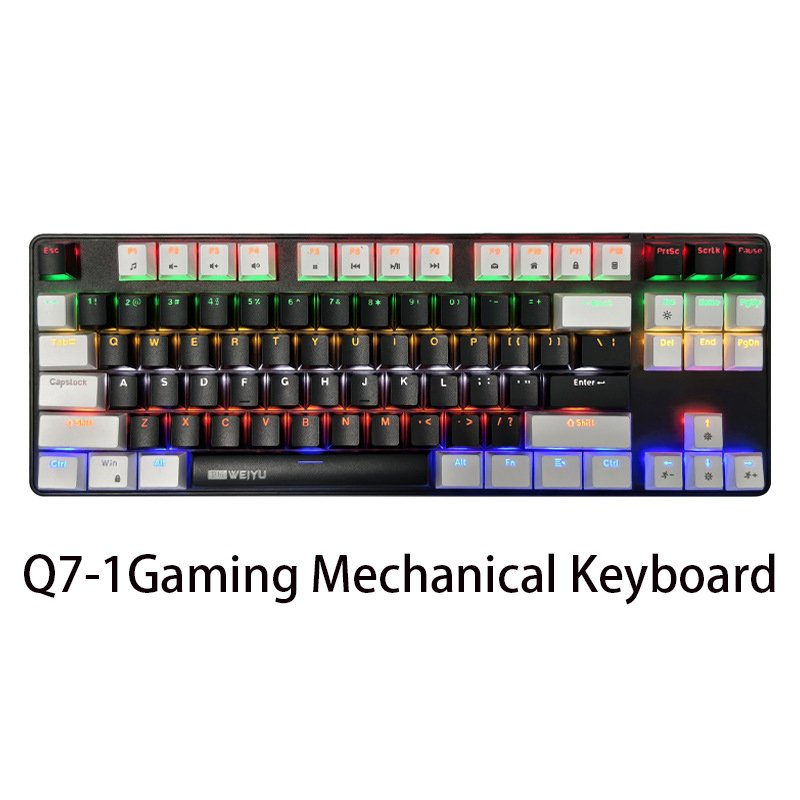 OEM USB C RGB Backlit Color Lighting Blue Switch Wired 87 Keys Internal Mechanical Gaming Keyboard Multi Computer Work