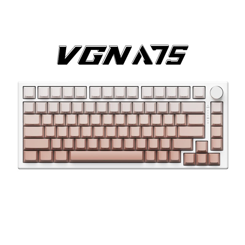 VGN Gradient Colors Side Printing PBT Keycaps Gaming Wired RGB Magnetic Switch VGN A75 Keyboard