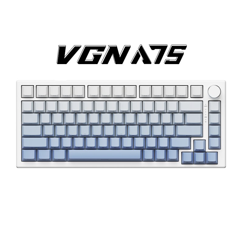 VGN Gradient Colors Side Printing PBT Keycaps Gaming Wired RGB Magnetic Switch VGN A75 Keyboard