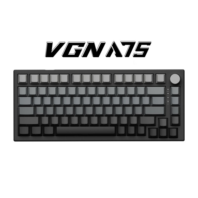 VGN Gradient Colors Side Printing PBT Keycaps Gaming Wired RGB Magnetic Switch VGN A75 Keyboard