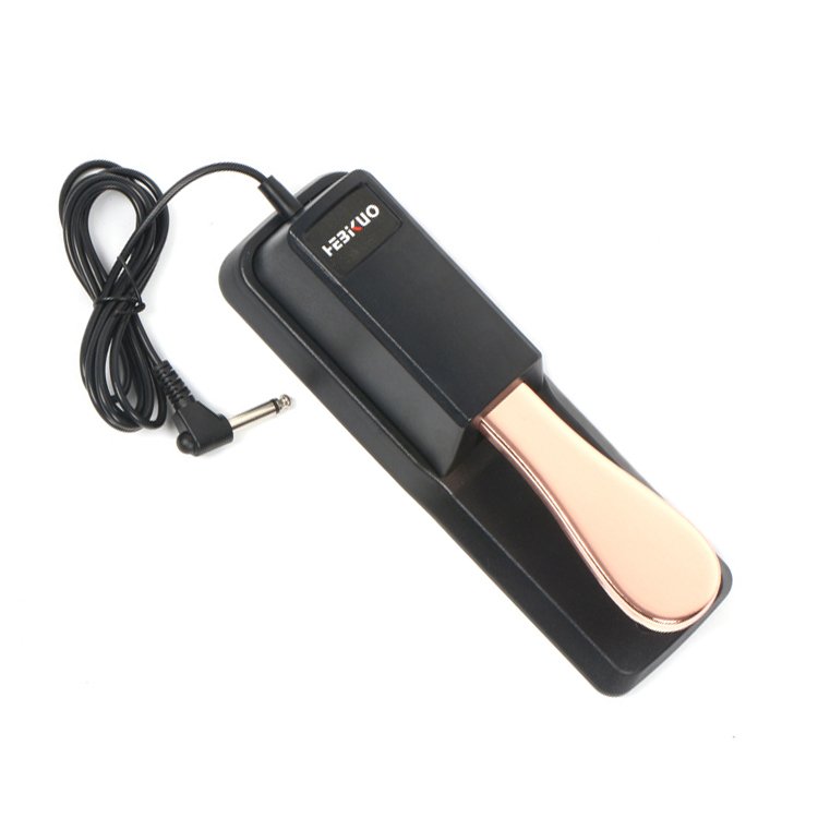 Factory OEM TB100 3 Color wholesale Keyboard Piano Accessories Foot Pedals Digital Sustain Piano Pedal With Polarity Switch