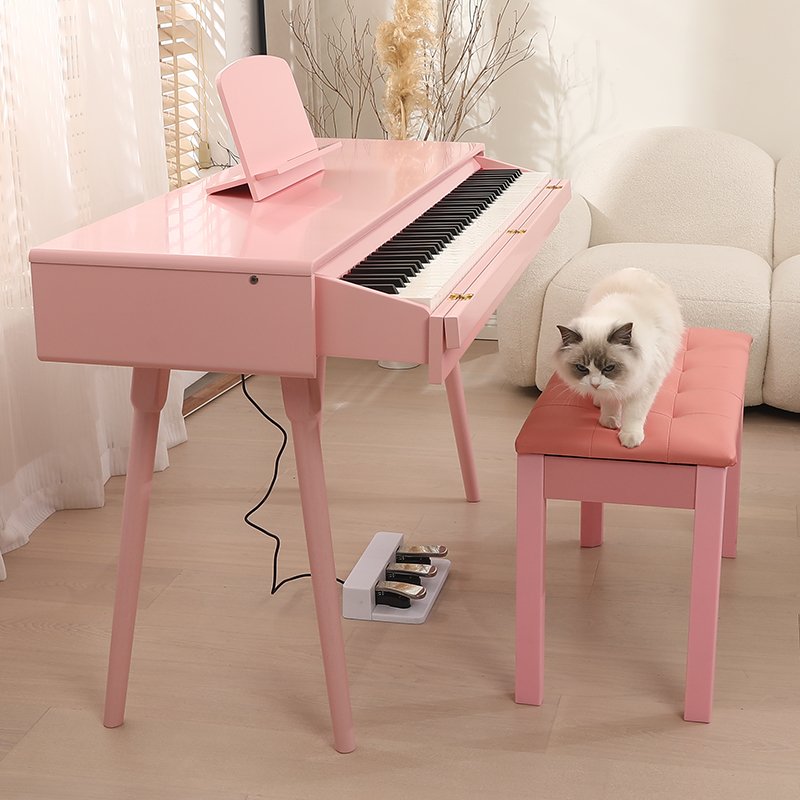 piano 88 keys france dream upright piano Drawer-type keyboard