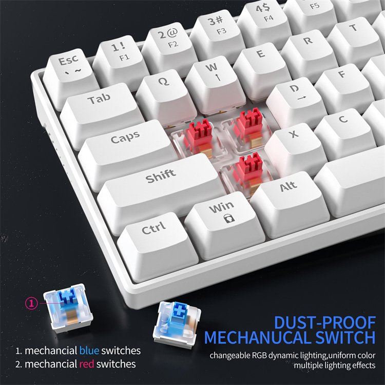 60% Keyboard 63 64 Keys Blue Red Switch Custom Keycap Mini USB Wired Gaming Fashion RGB backlit optical mechanical keyboard