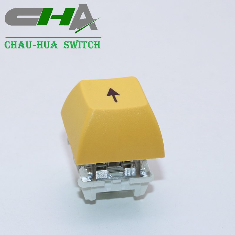 CHA Mechanical keyboard key switches EPG series push button switch with custom cover
