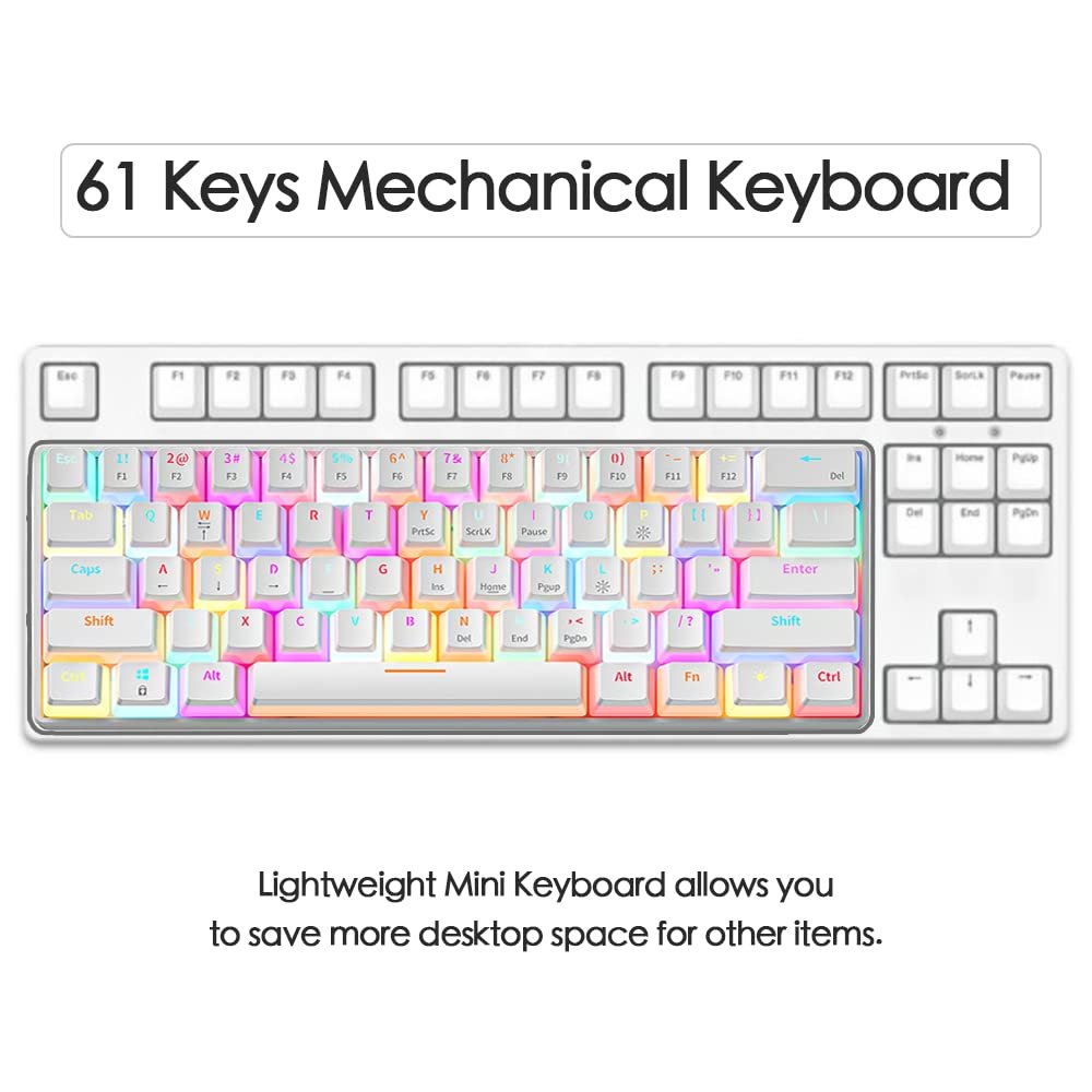 SAMA High Quality OEM ANSI Layout Qwerty Tkl 60% Rainbow Backlit Pudding Keycaps PC Gamer Mechanical Gaming Keyboard