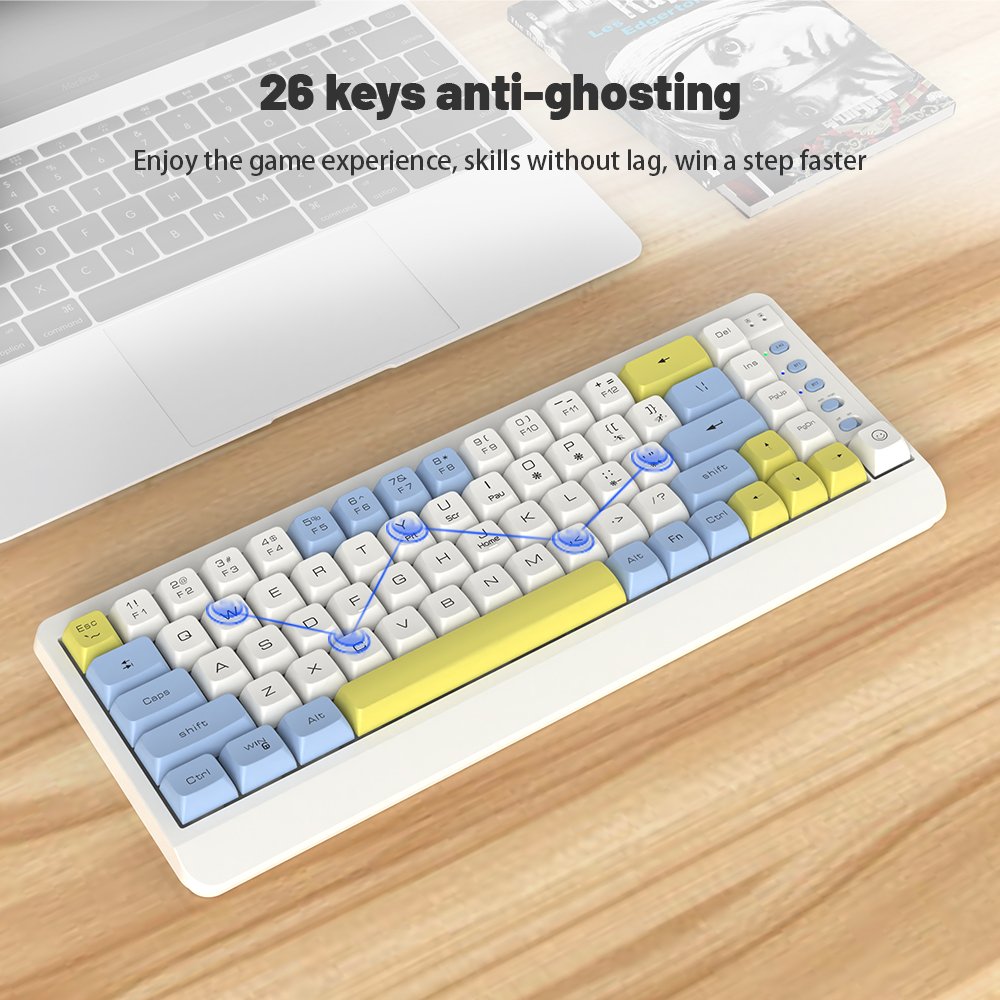 Custom Wireless Wired Gaming Keyboard Blue Switch Red Switch RGB Backlit 60 Percent 69-70 Keys Mechanical Gaming Keyboard