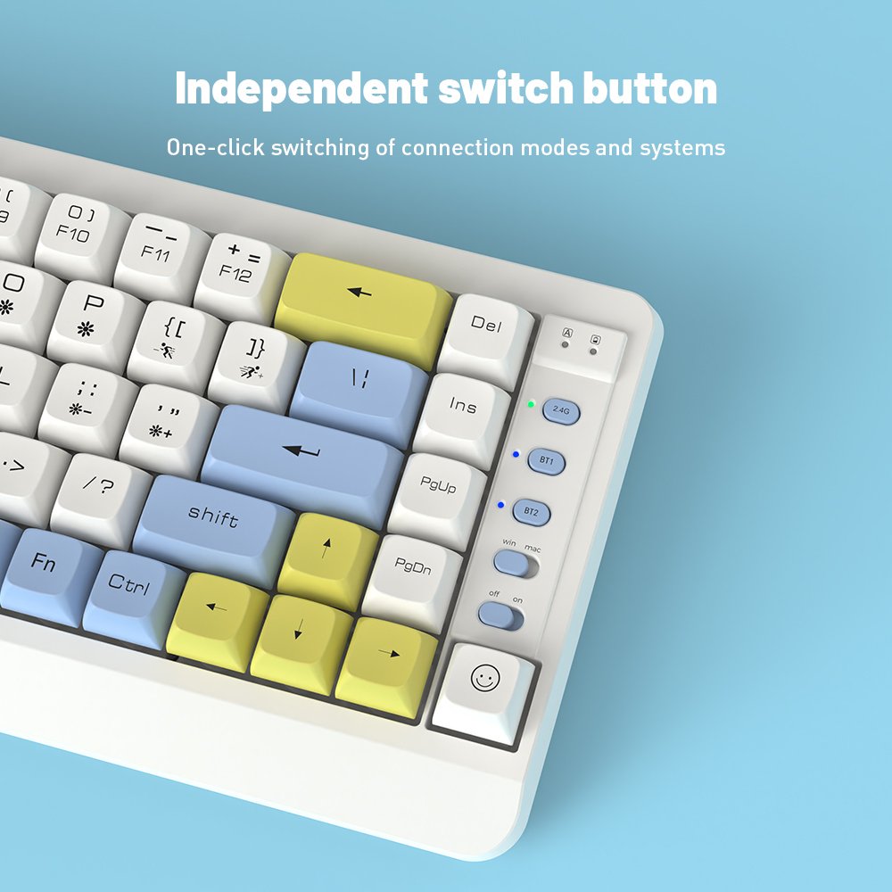 Custom Wireless Wired Gaming Keyboard Blue Switch Red Switch RGB Backlit 60 Percent 69-70 Keys Mechanical Gaming Keyboard