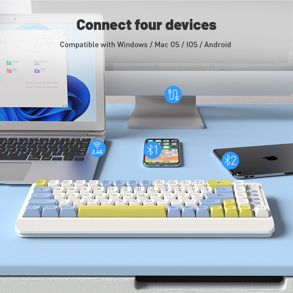 Custom Wireless Wired Gaming Keyboard Blue Switch Red Switch RGB Backlit 60 Percent 69-70 Keys Mechanical Gaming Keyboard