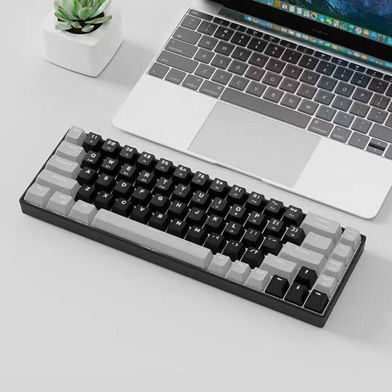 Single Color RGB Custom 68 Keys Russian Version Hot Swappable Mechanical Keyboard With Type-C Wired Link