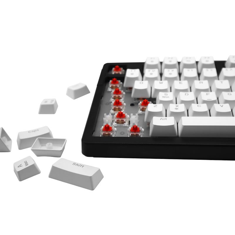 Wired mechanical gaming keyboard with 100 keys and a fast USB-C connection. Equipped with hot-swappable red switches & RGB light