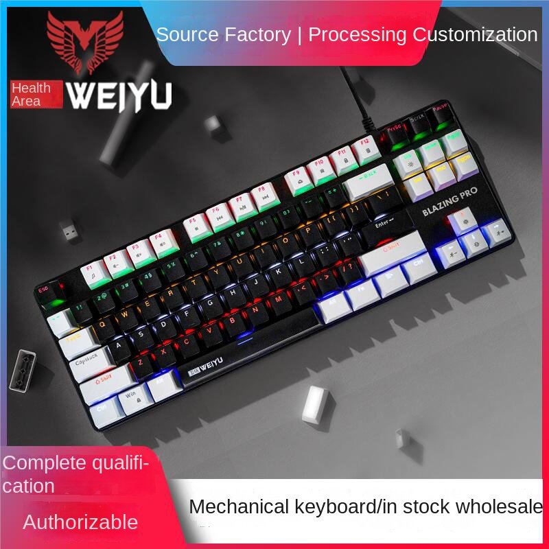 OEM Blue Switch Wired Usb C RGB Backlit Color Lighting for Computer Mechanical Gaming Keyboard