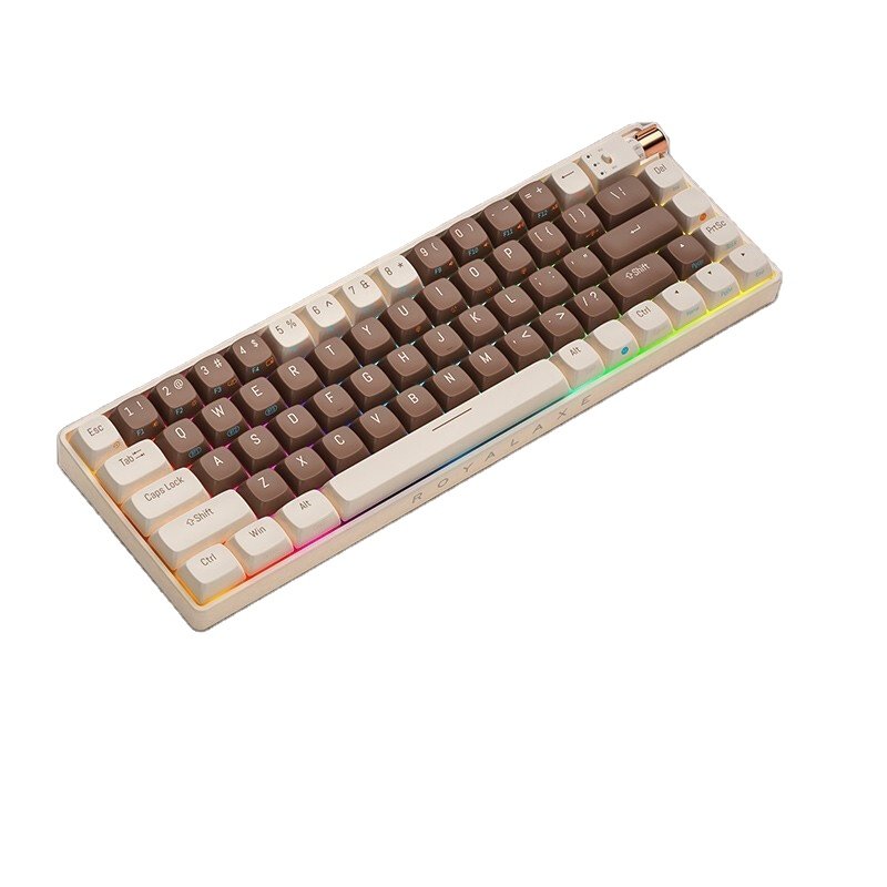 Royalaxe R68 Mechanical keyboard and 67 Keys Type Gaming Keyboards for Computer TTC Switch
