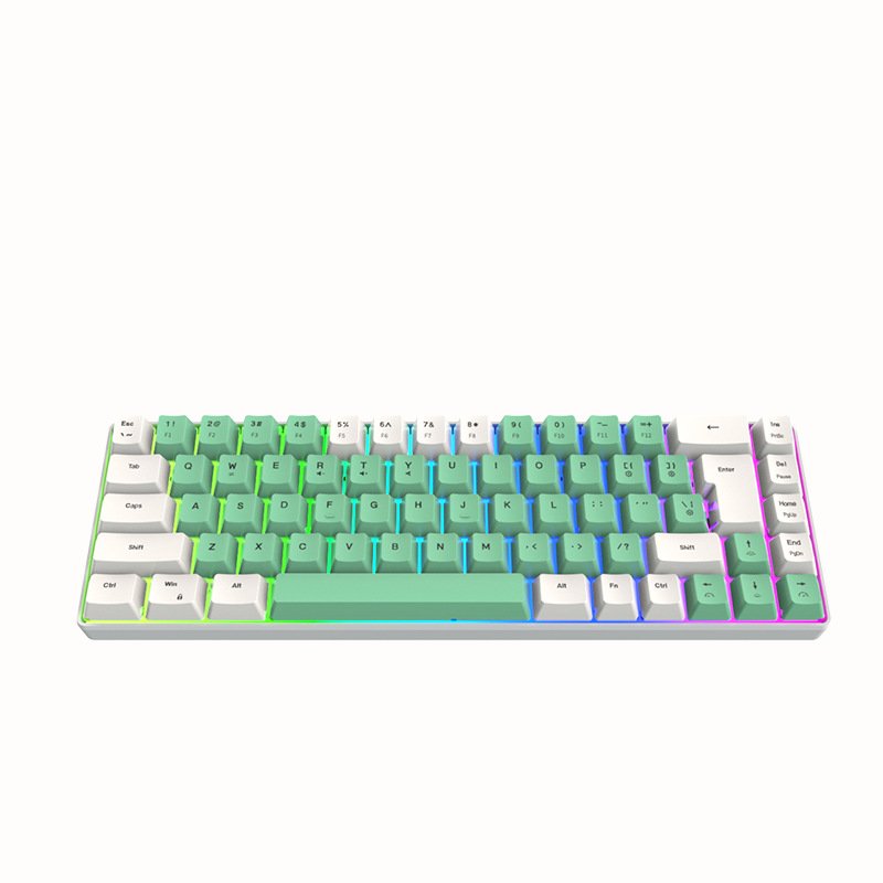 60% RGB Mini Gaming Keyboard with Hot Swap & Anti-Ghosting 61 Keys Mechanical Keyboard Type C Interface Color Lighting