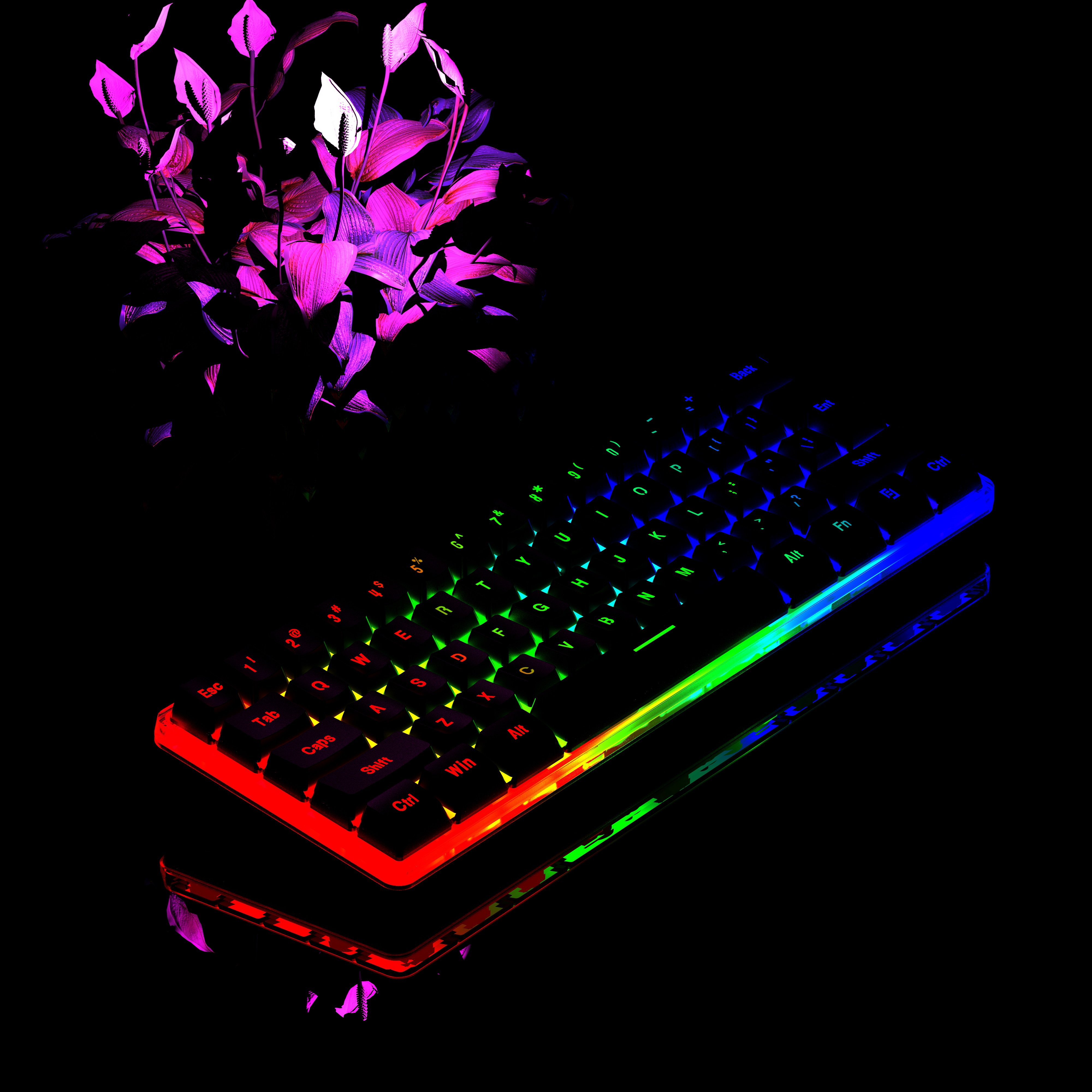 SAMA Custom Keyboard 61 Keys Wired Lighting Switch Gaming Keyboard 60% Keyboard