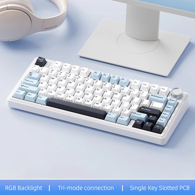 wired usb RGB LED light pc computer custom 2.4G wireless gaming mechanical switch 75% keyboard